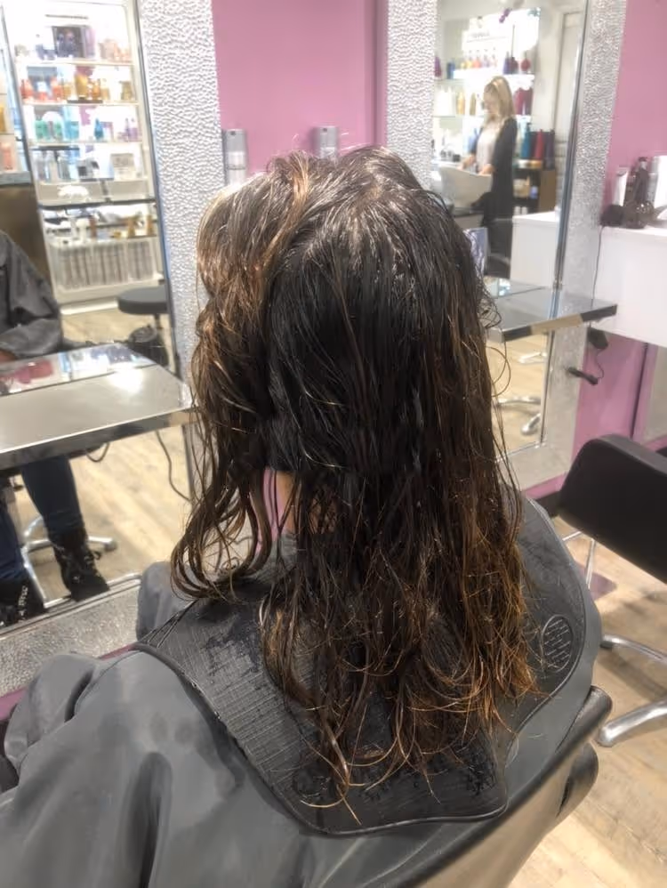 Cheveux longs bruns et frisés, vus de dos, avant la coupe